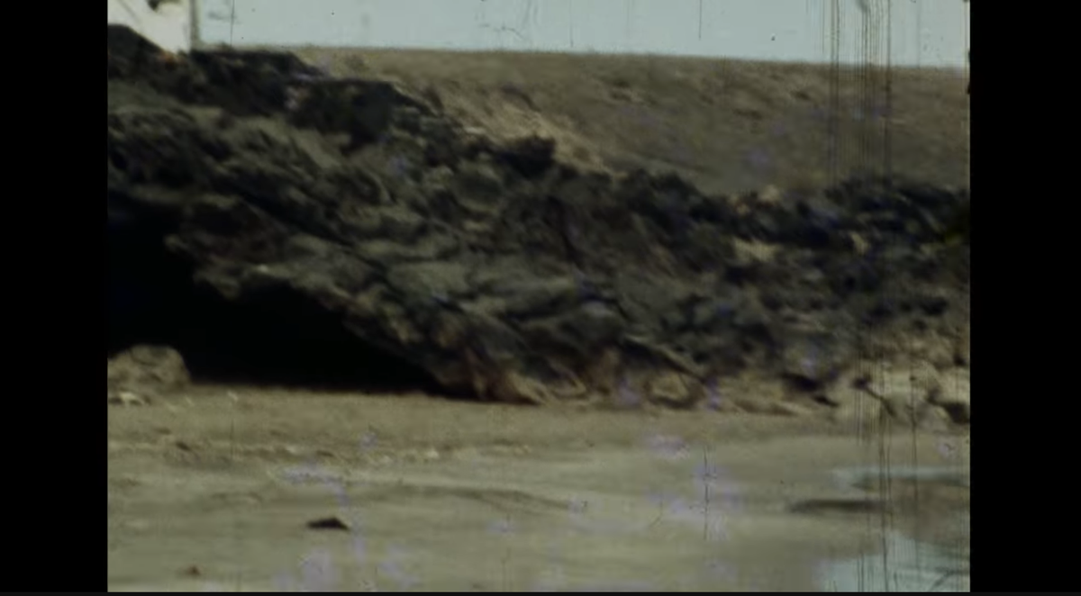 Día en Papagayo en VIDEOS 